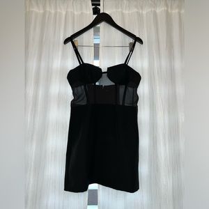 NWT Zara Sheer Corset Dress
